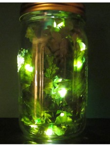 fireflies_in_mason_jar[1]